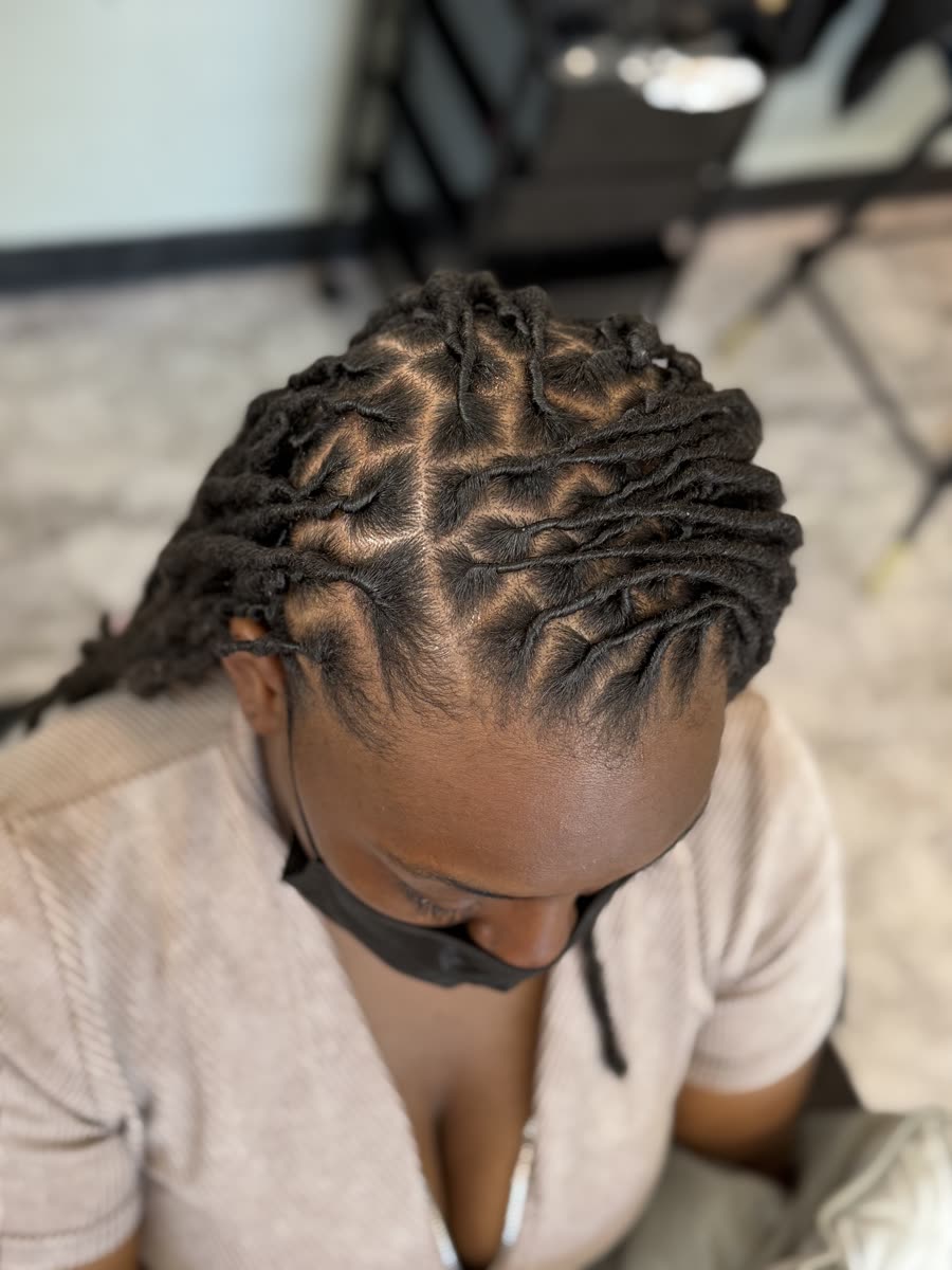 Fresh retwist, top-down view with neat parts